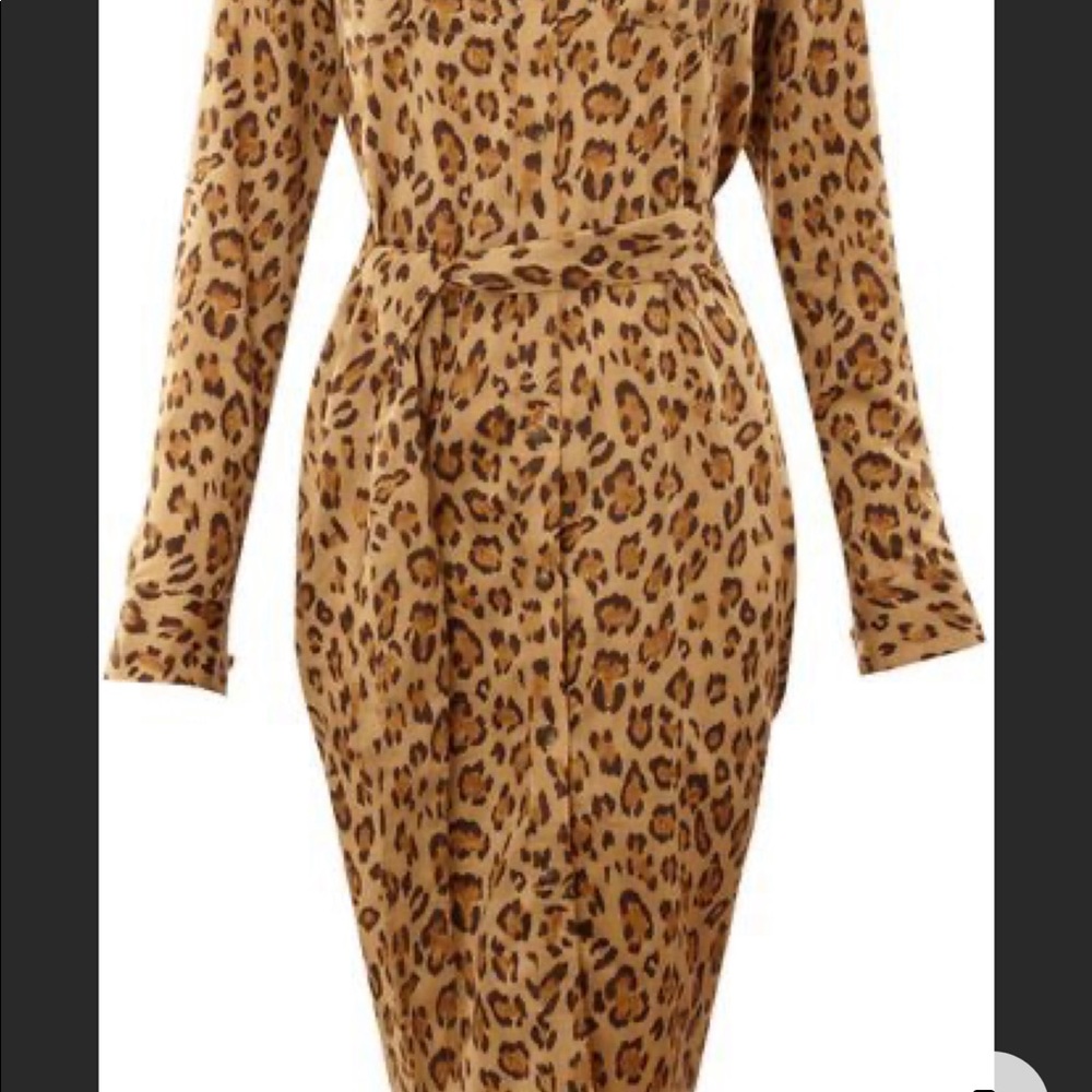 Leopard Print Long Sleeve Dress